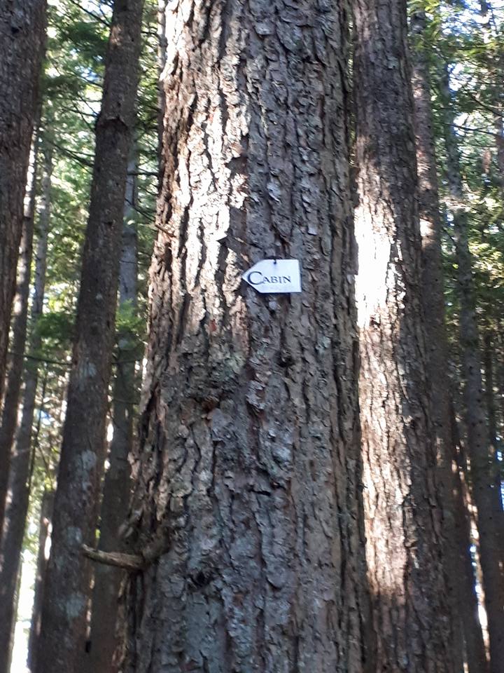 Cabin trail marker on the Dewdney Grind trail