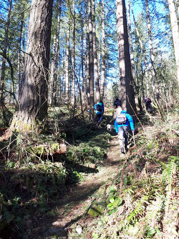 hiking up the Dewdney Grind trail