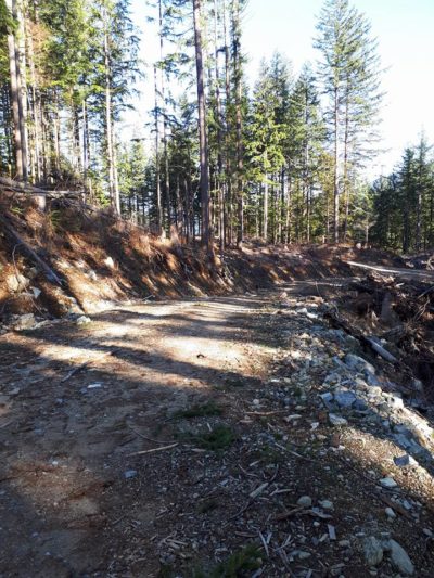 the forest service road to cross to continue on the Dewdney Grind trail