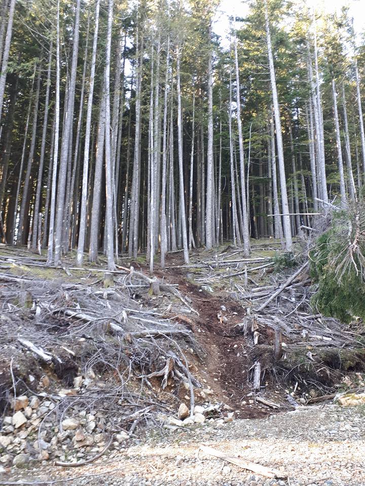 Dewdney Grind trail to the cabin.