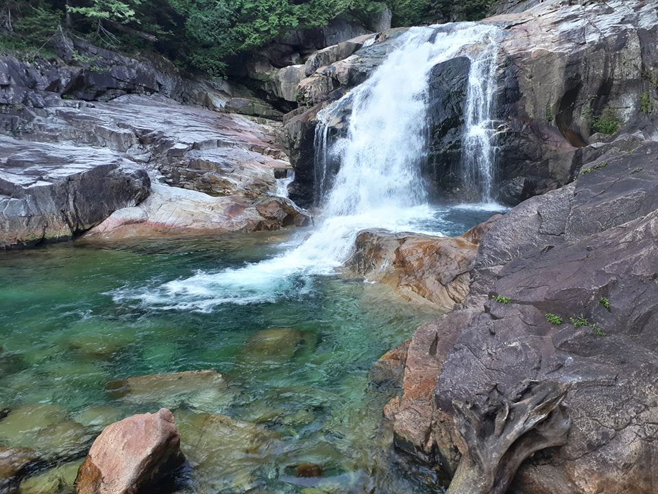 at Golden Ears Provincial park you can hike to this waterfall called "Lower Falls".