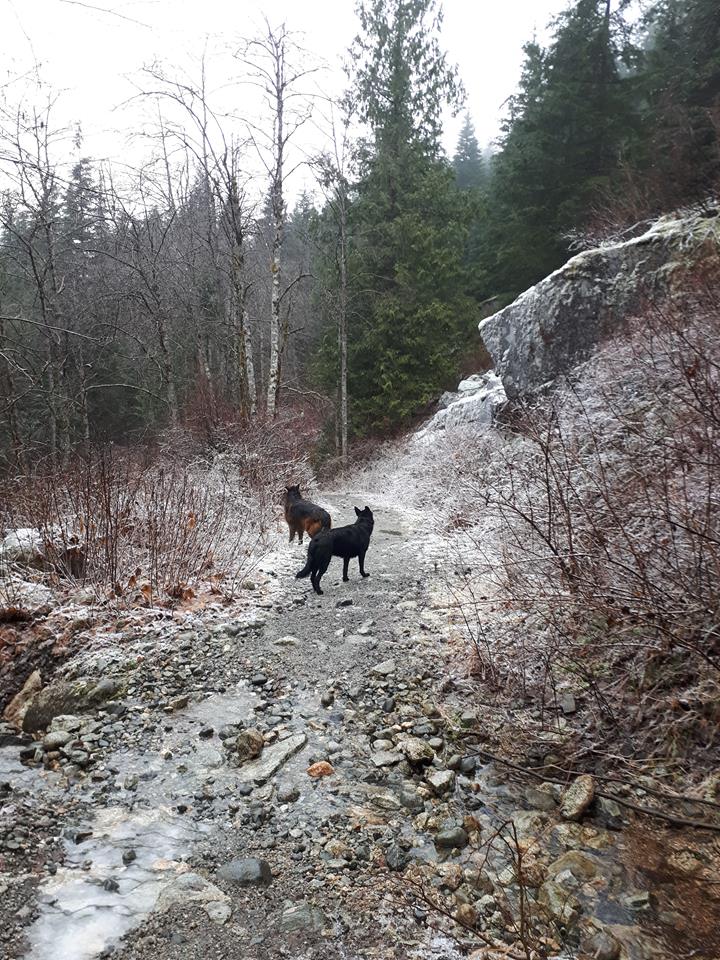 East Canyon trail at Golden Ears Provincial Park