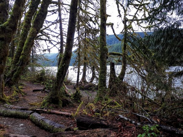 Buntzen Lake