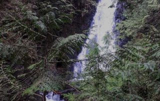 Rolley Falls