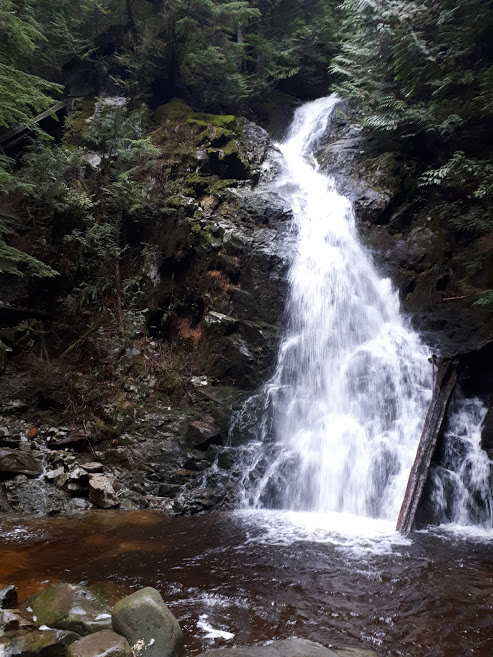 at Pinecone Burke Provincial Park you can hike to Sawblade Falls.