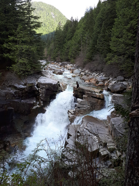 you can take the East Canyon trail and hike down to Upper Falls at Golden Ears Provincial Park.