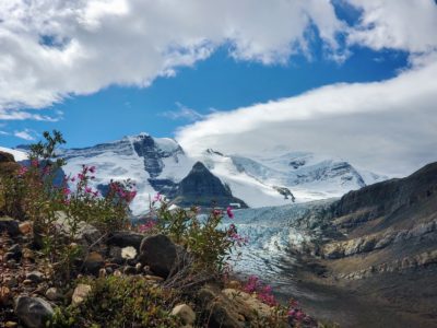Robson Glacier- Berg Lake trail