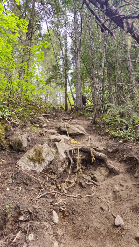 Goat Ridge Trail - Lower Mainland Hikers