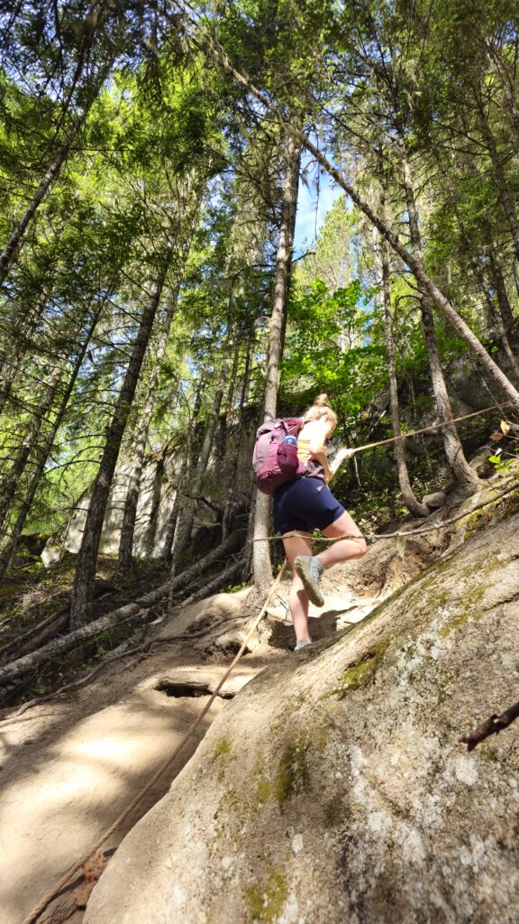 Goat Ridge Trail - Lower Mainland Hikers
